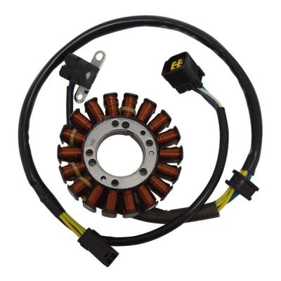 Stator d'allumage SGR 161704