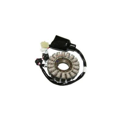 Stator d'allumage SGR 163077