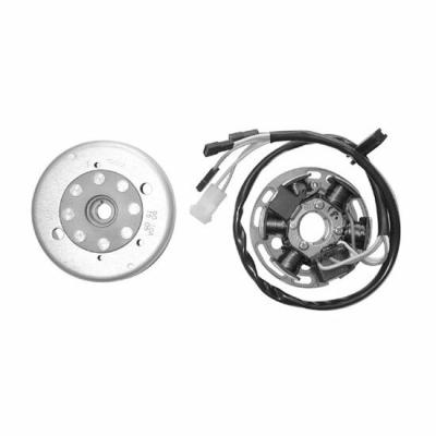 Stator d'allumage SGR Volant 6 P&ocirc;les complet DERBI SENDA 50