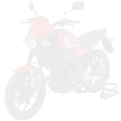 Tête de fourche Ermax yamaha xsr 125